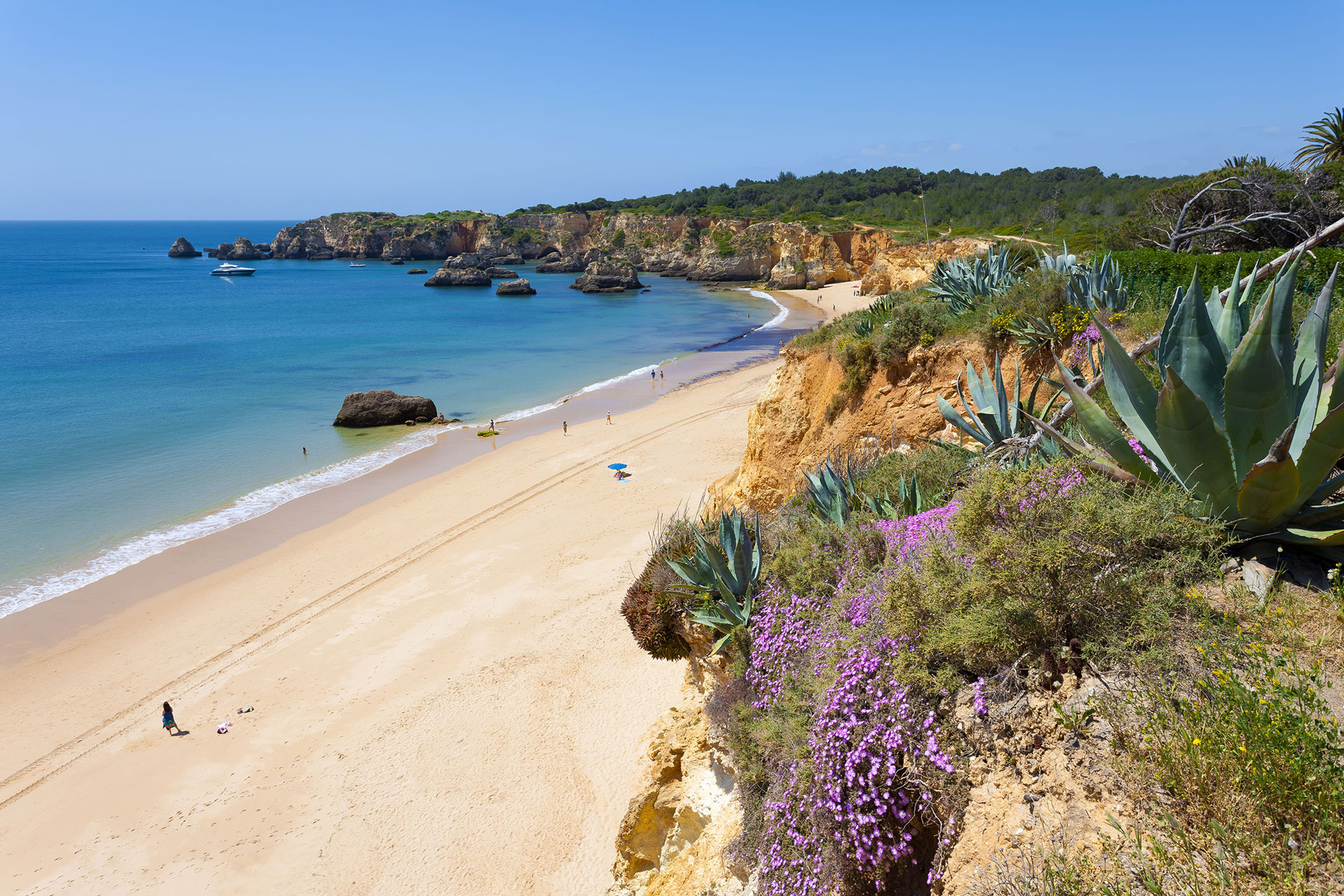Algarve was the fastest growing region in the country due to tourism