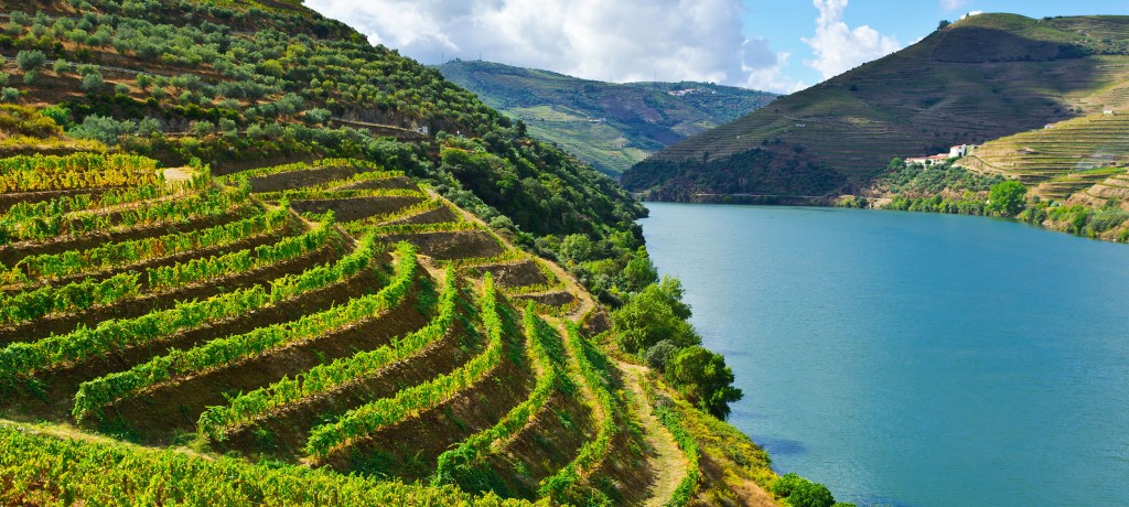 Alto Douro Wine Region is a World Heritage for 15 years