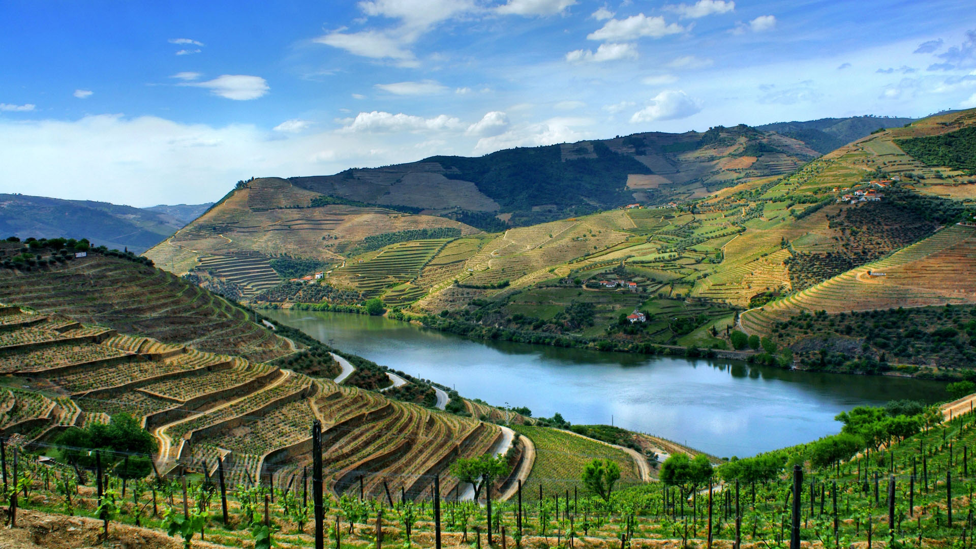 Encosta do Douro, Portugal