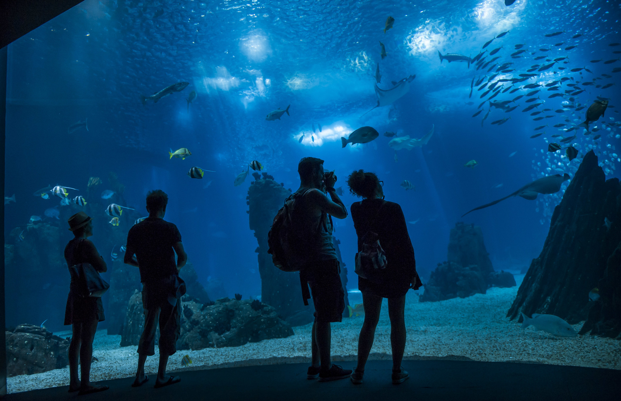 OceanÃ¡rio de Lisboa