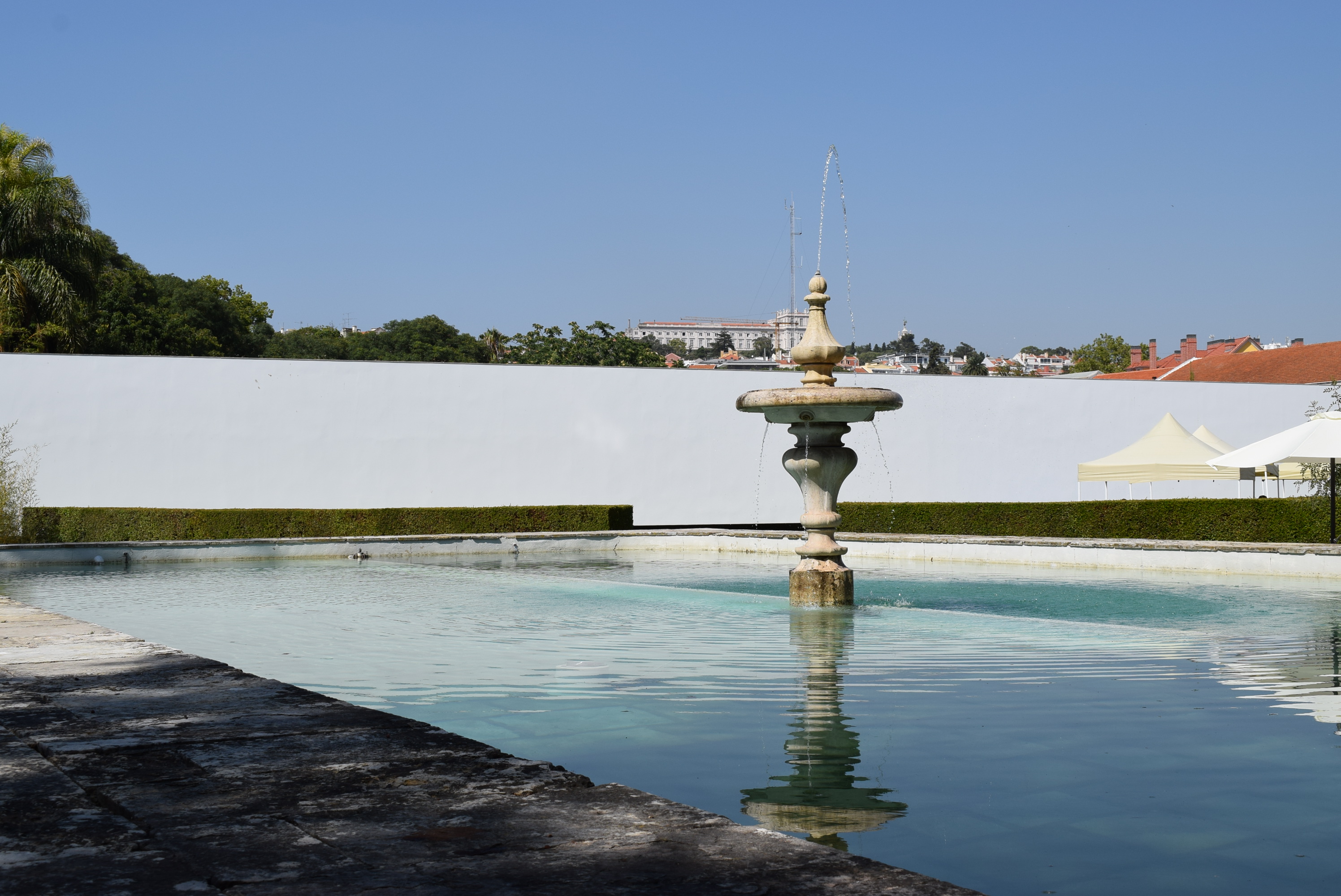 Lago Jardim Botânico de Belém